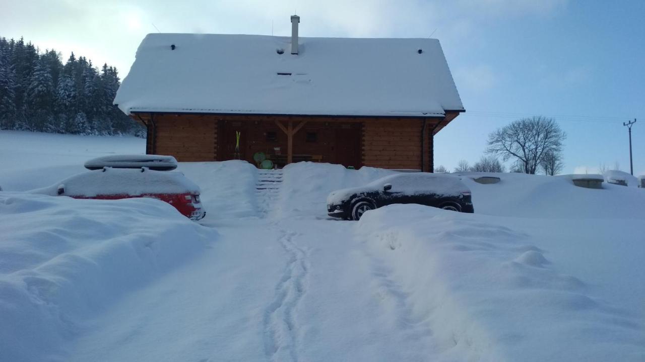 Apartmany Orlice Červená Voda Buitenkant foto