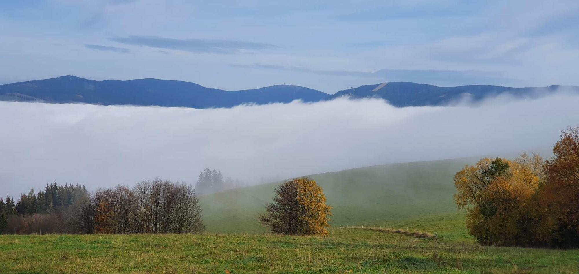 Apartmany Orlice Červená Voda Buitenkant foto
